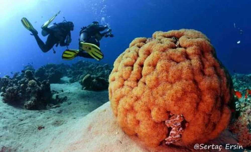 Orion`da Otizmli Çocuklar İçin Sergi Açılacak