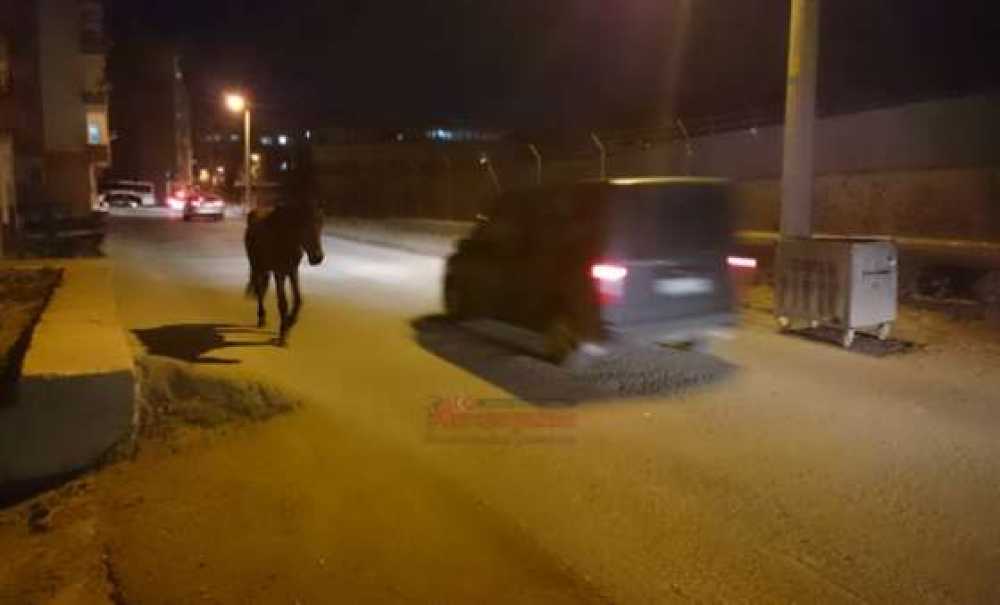 Başıboş At Trafiği Tehlikeye Düşürdü
