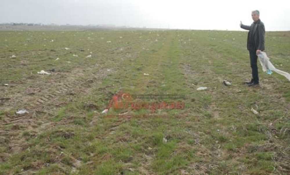 Önerler Çiftçisinin Hasadı Poşet