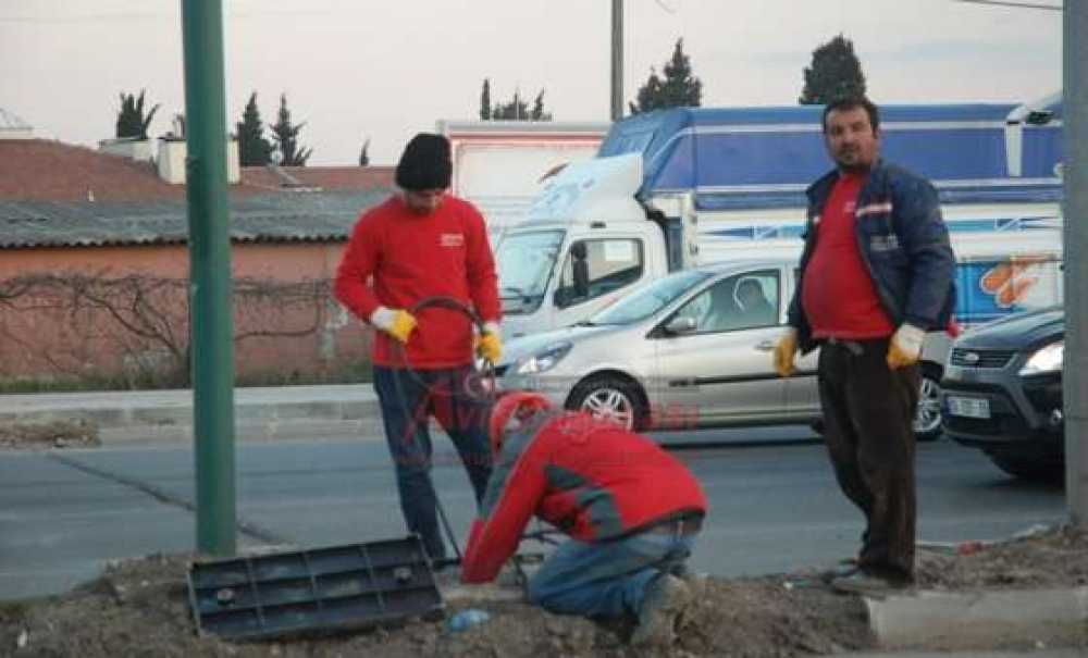 Tedes Çalışmaları Sürüyor