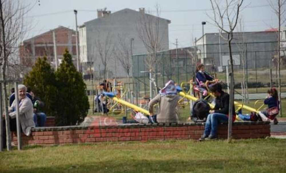 Güneşi Gören Kendini Dışarı Attı