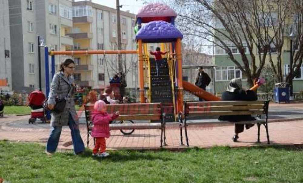 Güneşi Gören Kendini Dışarı Attı