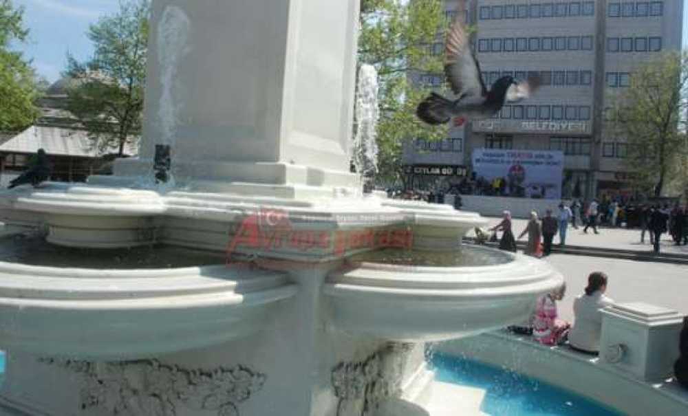 Güvercinler 7`den 70`e Herkesin İlgisini Çekiyor