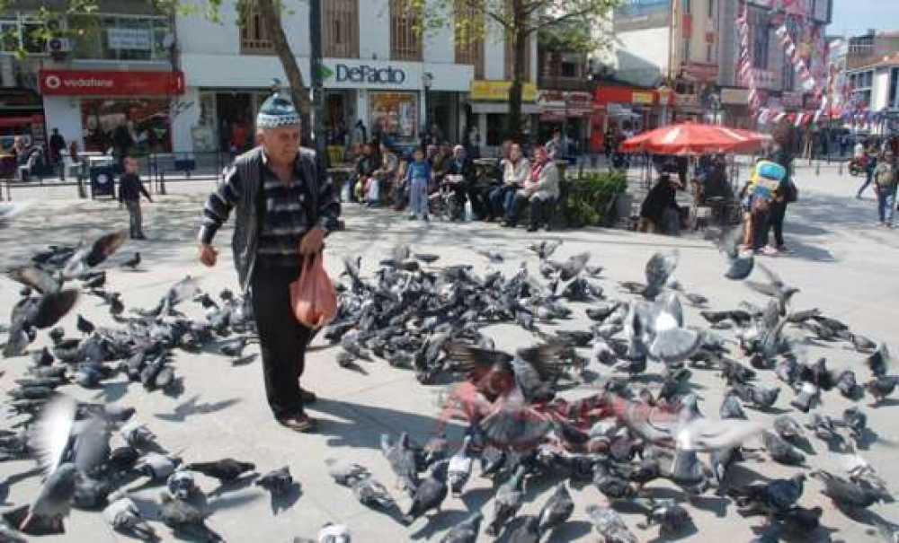 Güvercinler 7`den 70`e Herkesin İlgisini Çekiyor