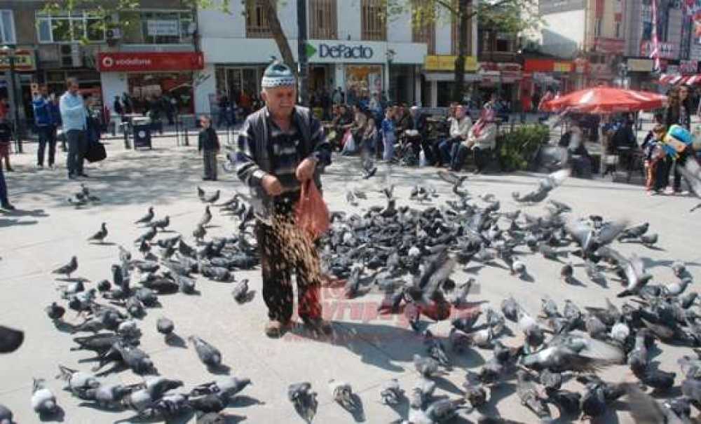 Güvercinler 7`den 70`e Herkesin İlgisini Çekiyor