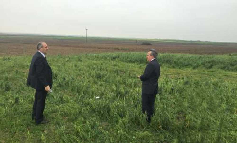 Vali Salihoğlu Ve Kaymakam Kılıç Zarar Gören Ekili Alanları İnceledi