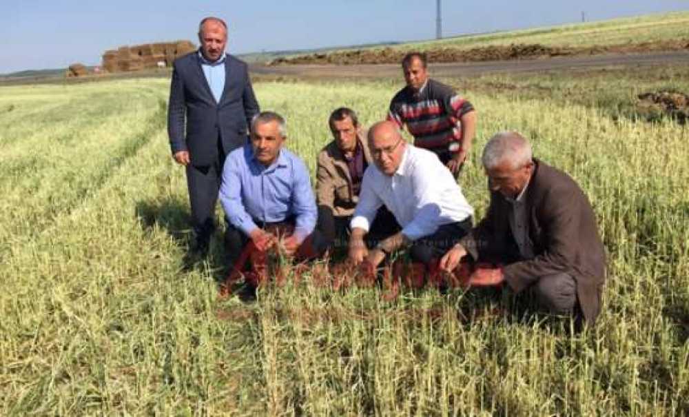 Ak Parti Milletvekili Adayı Akgün Çiftçileri Ziyaret Etti