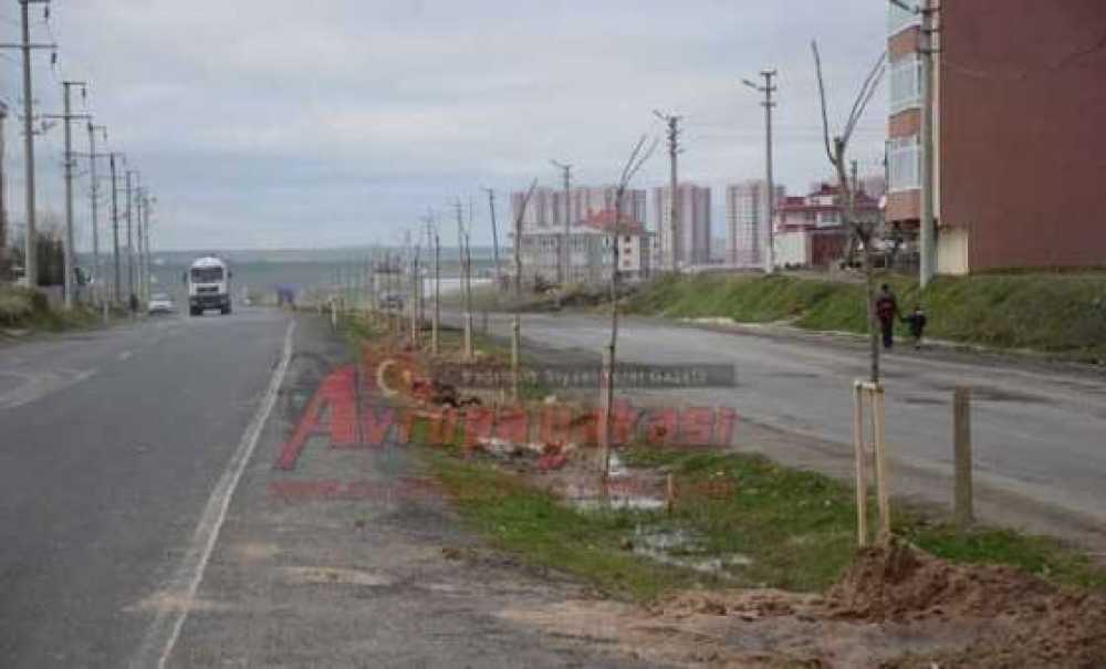 Çorlu'da Ağaçlandırma Çalışması