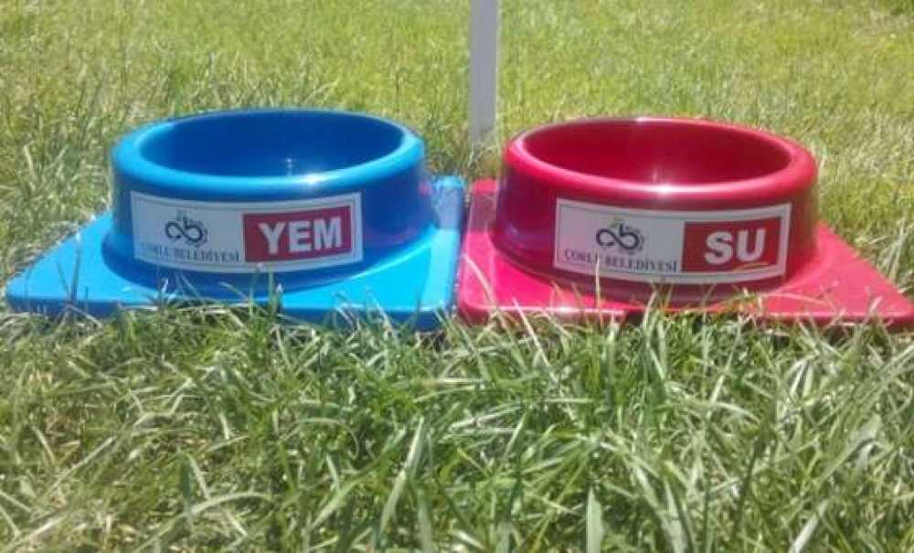 Çorlu Belediyesi`nden Sokak Hayvanları İçin Su Ve Yem Kapları