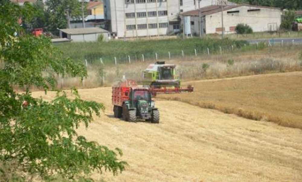 İlk Hasat İlk Umut