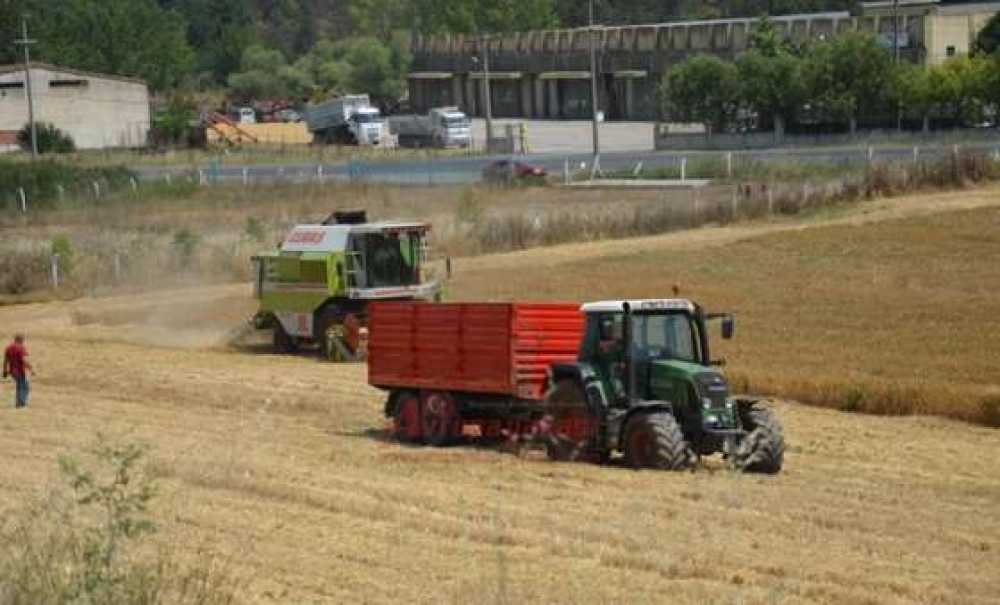 İlk Hasat İlk Umut