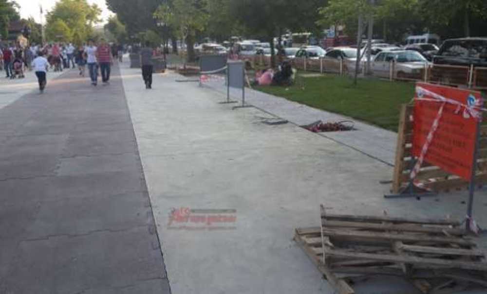 51. Kiraz Curcunası