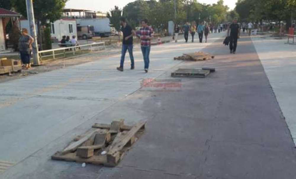 51. Kiraz Curcunası