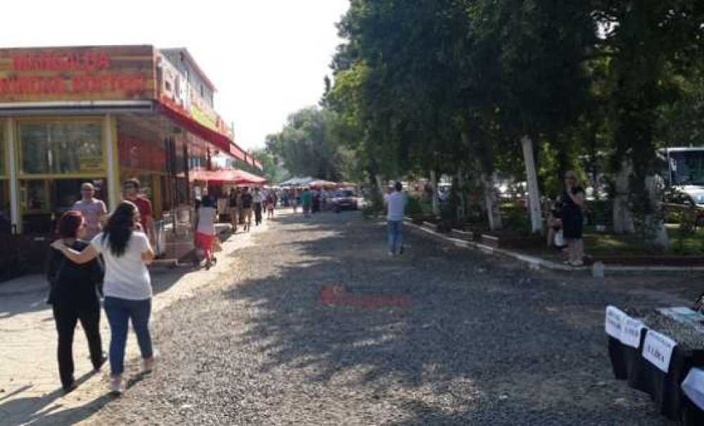 51. Kiraz Curcunası