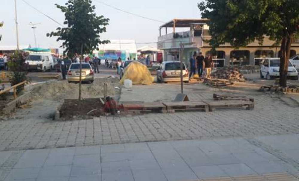 51. Kiraz Curcunası