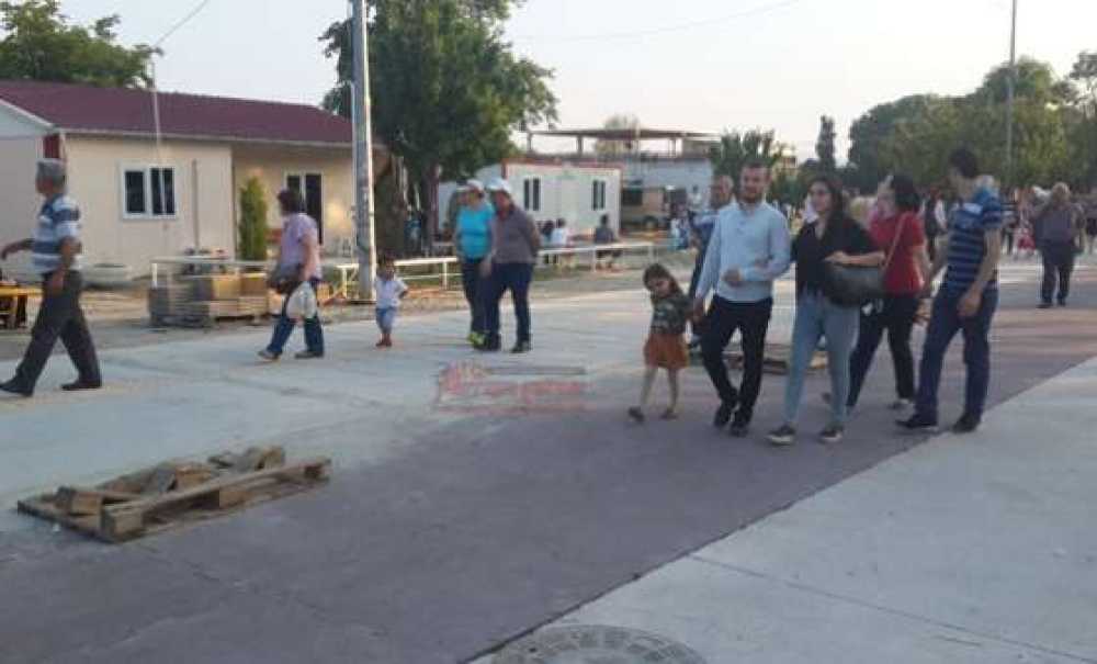 51. Kiraz Curcunası