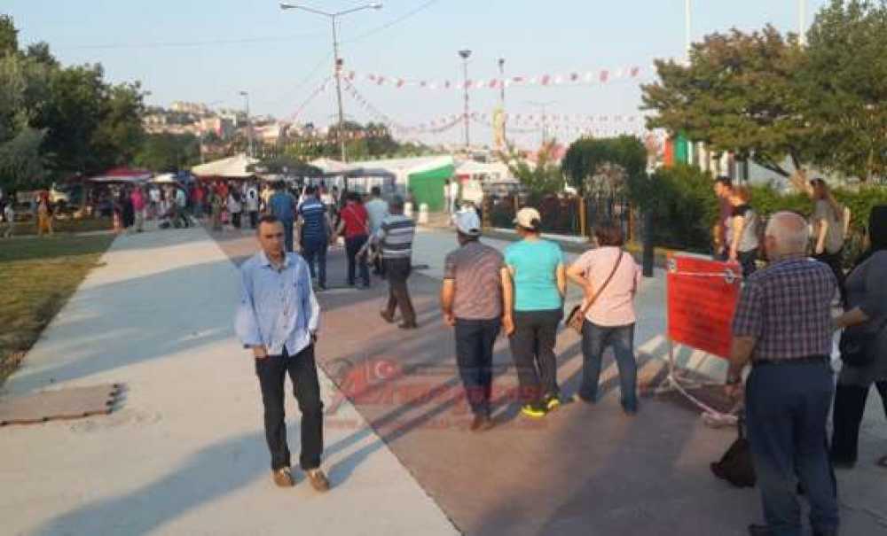 51. Kiraz Curcunası