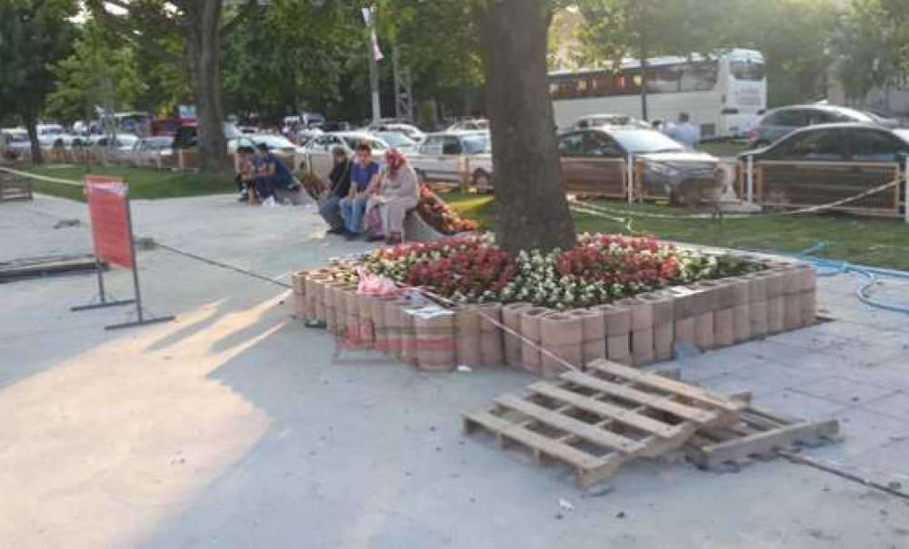 51. Kiraz Curcunası