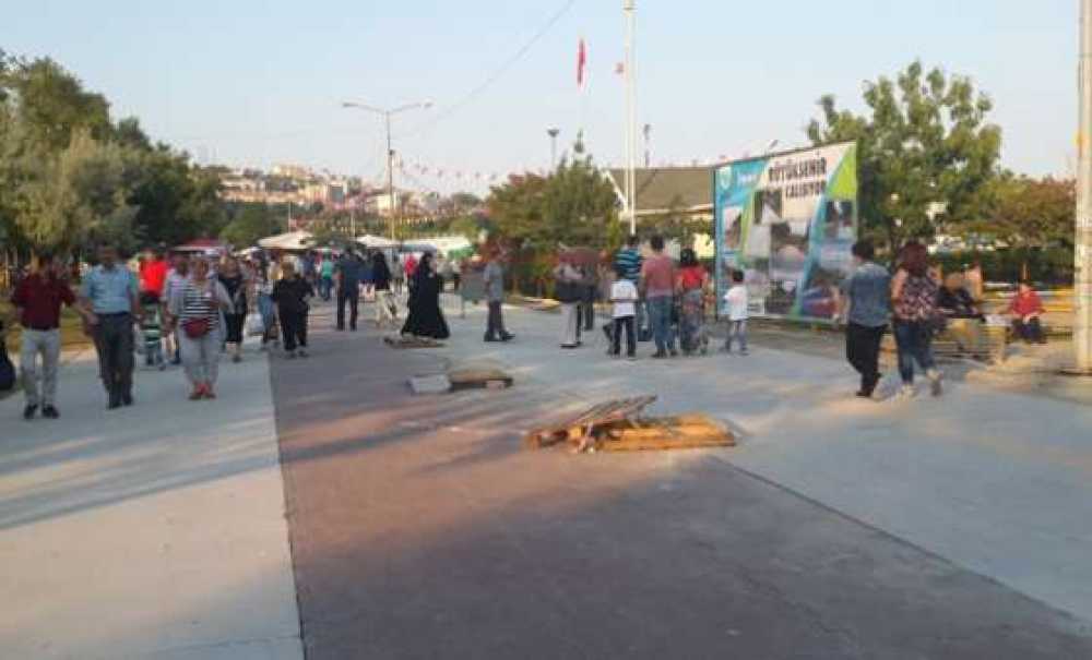 51. Kiraz Curcunası