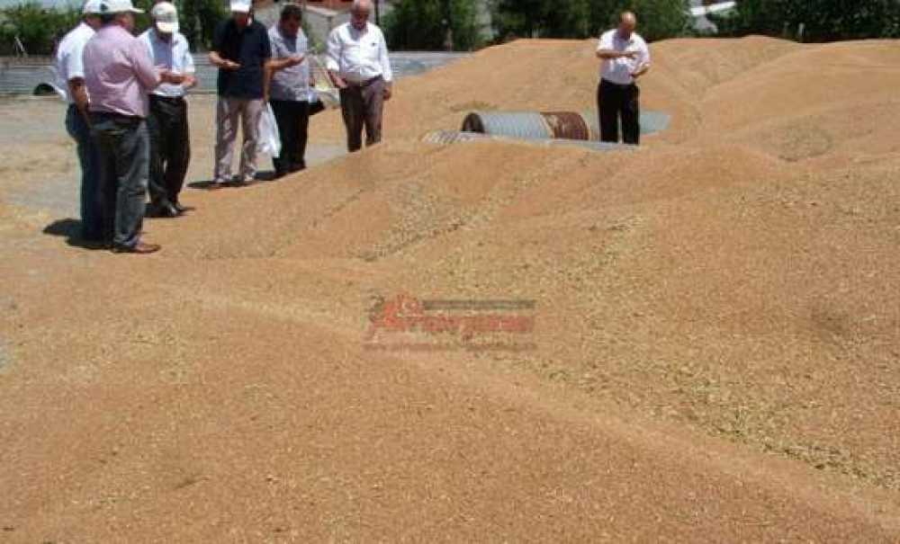 Tmo Çorlu Ajans Amirliği Fiyatları Açıkladı