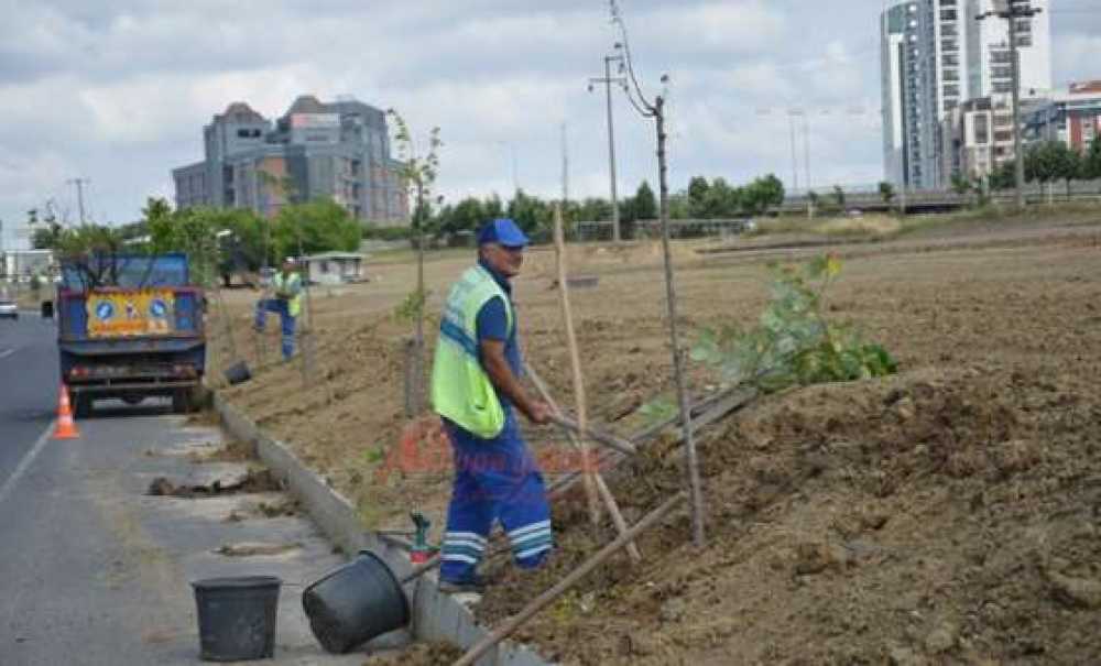 Fuar Alanında Ağaçlandırma Çalışması