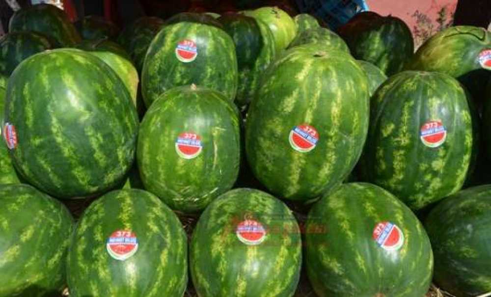 Karpuz Alana Pide Bedava