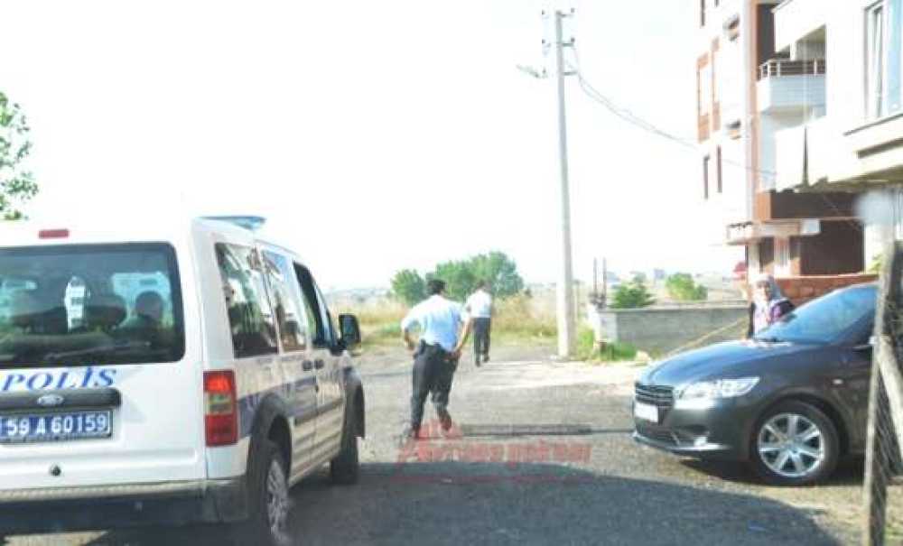 Polis Hırsız Kovalamacası