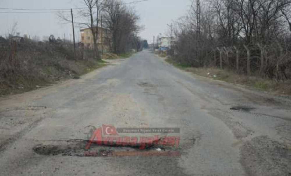 Önerler Köyü Yoluna Asfalt İsteği