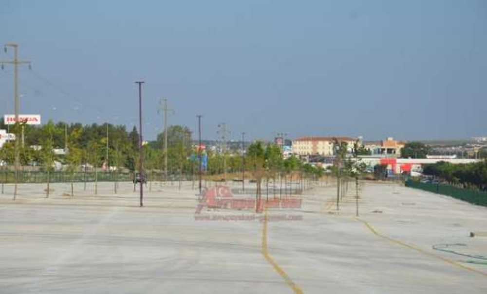 Fuar Alanı Ağaçlandırılıyor (Görüntülü Haber)