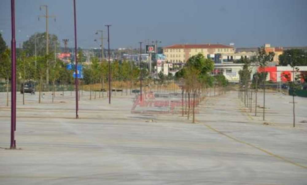 Fuar Alanı Ağaçlandırılıyor (Görüntülü Haber)