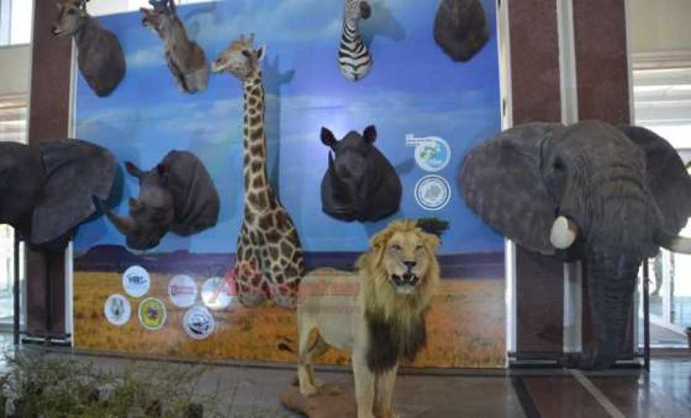 Sanat Kokan Hastane (Görüntülü Haber)