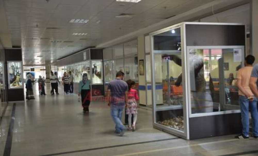 Sanat Kokan Hastane (Görüntülü Haber)