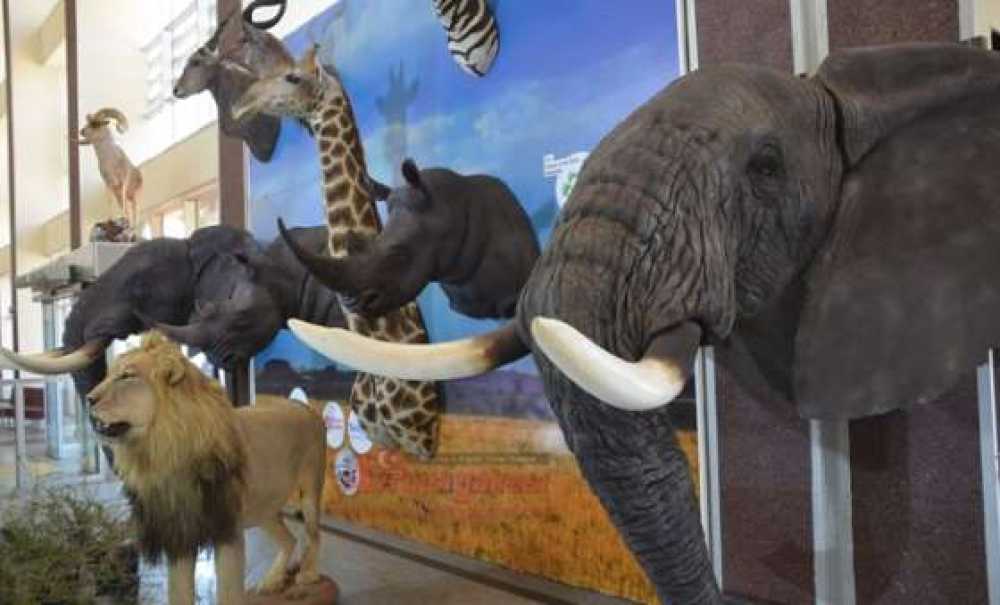 Sanat Kokan Hastane (Görüntülü Haber)