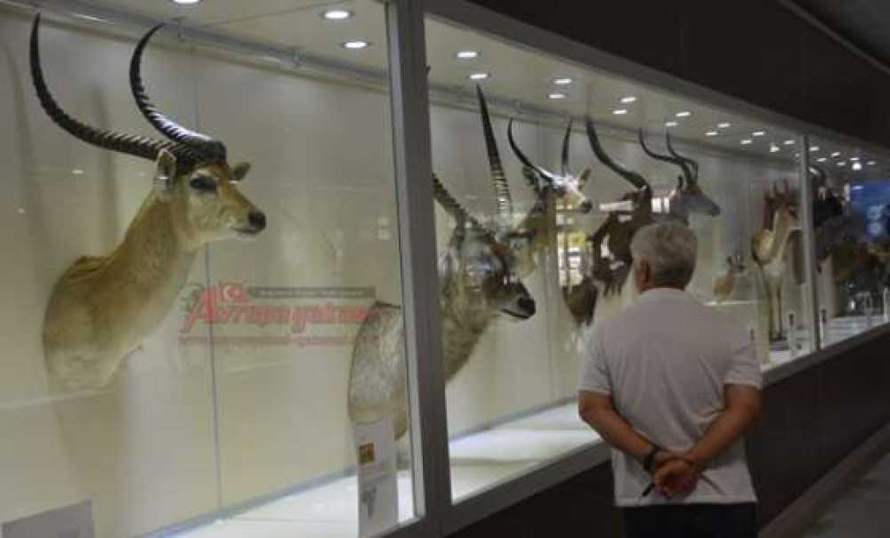 Sanat Kokan Hastane (Görüntülü Haber)