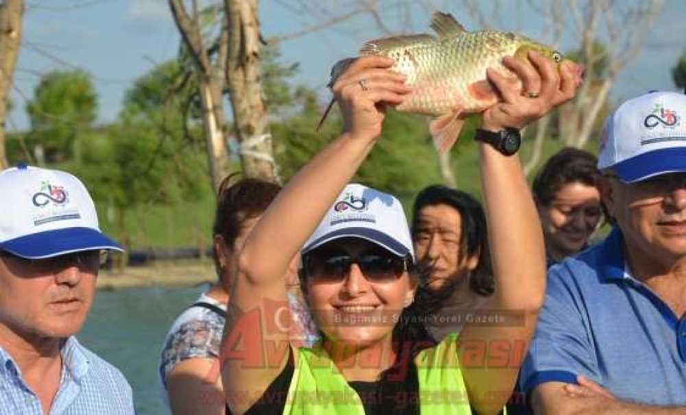 Turnuvasına Yoğun İlgi
