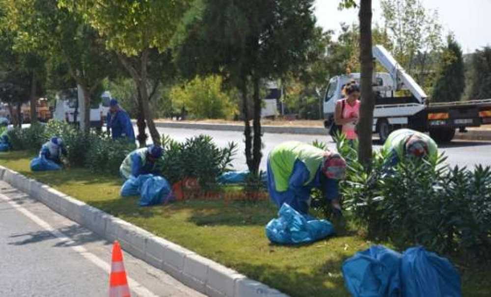 Park Ve Bahçelerden Bakım