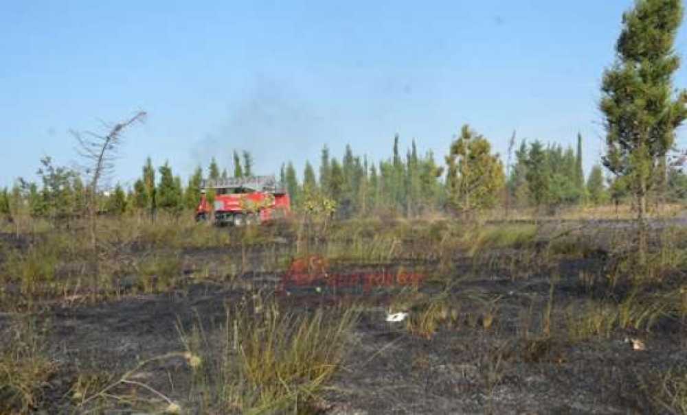 Ağaçlandırma Alanında Yangın