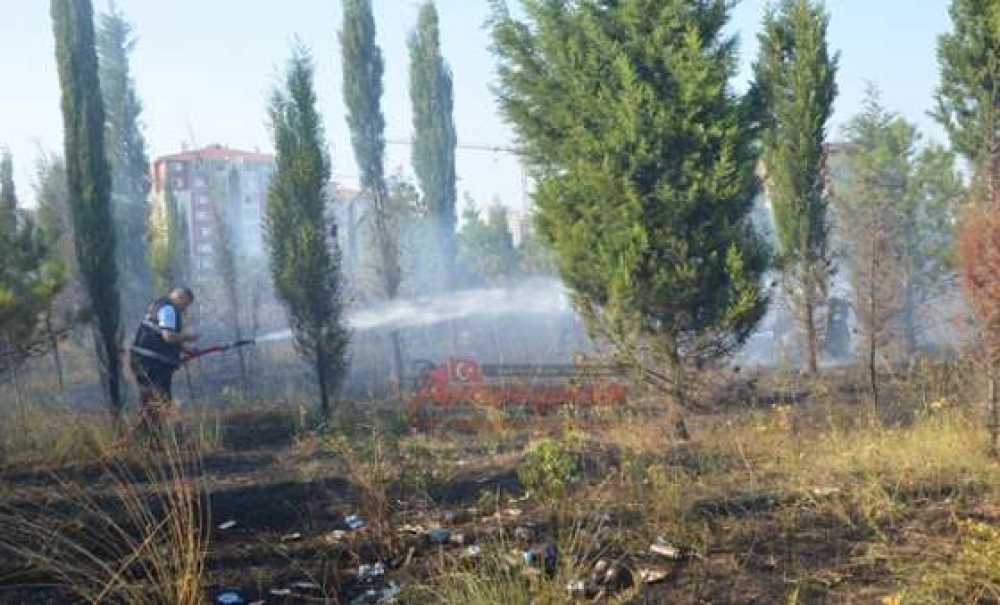 Ağaçlandırma Alanında Yangın