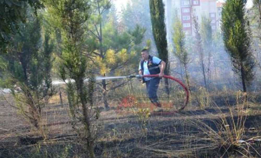 Ağaçlandırma Alanında Yangın