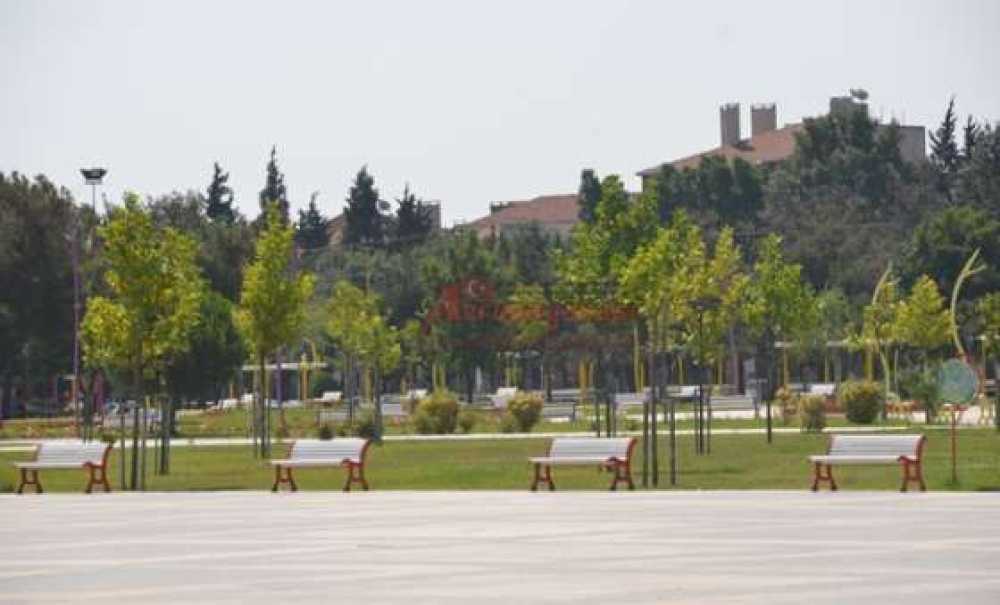 Akşamları Dolu, Gündüzleri Boş