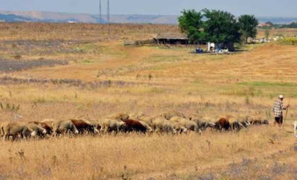 Tekirdağ Büyükşehir Belediyesinden Tarıma Büyük Destek