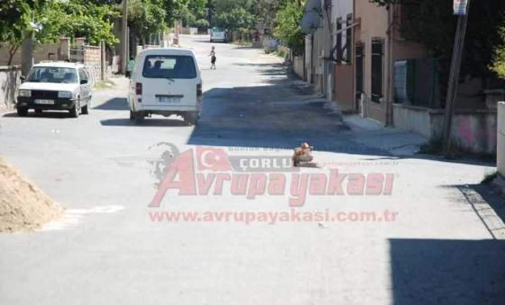 Çöken Yola Taşlı Tuğlalı Tedbir