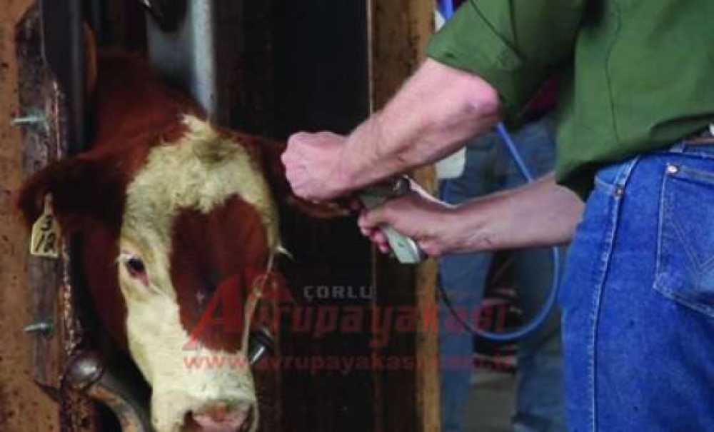 Çorlu Kom Ekiplerinden Önemli Operasyon