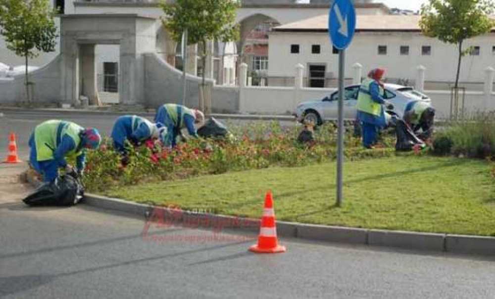 Park Ve Bahçeler Müdürlüğü Ekipleri Düzenleme Çalışmalarını Sürdürüyor