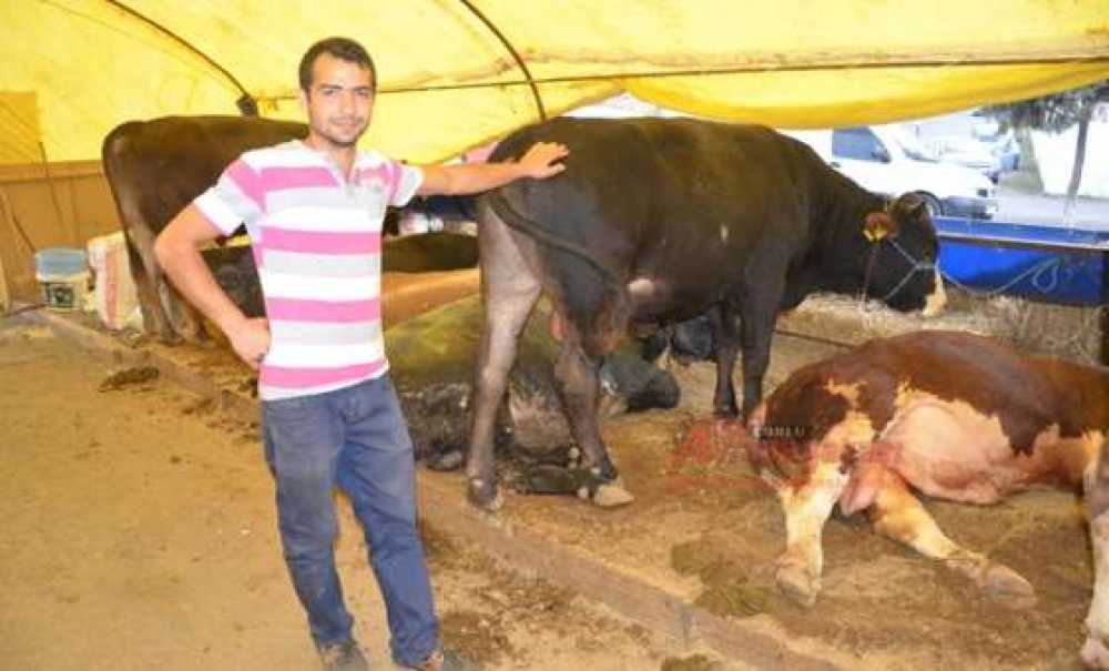 Otomobil Fiyatına Kurbanlık