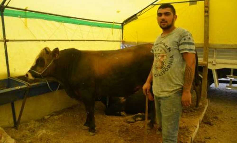 Ne Alan Ne Satan Memnun