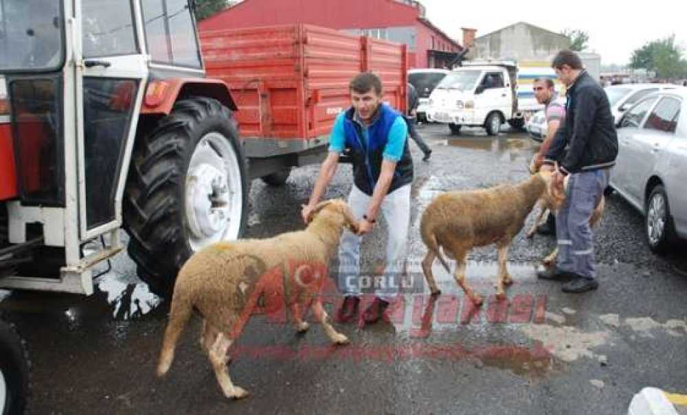 Çorlu'da Kurban Bayramı