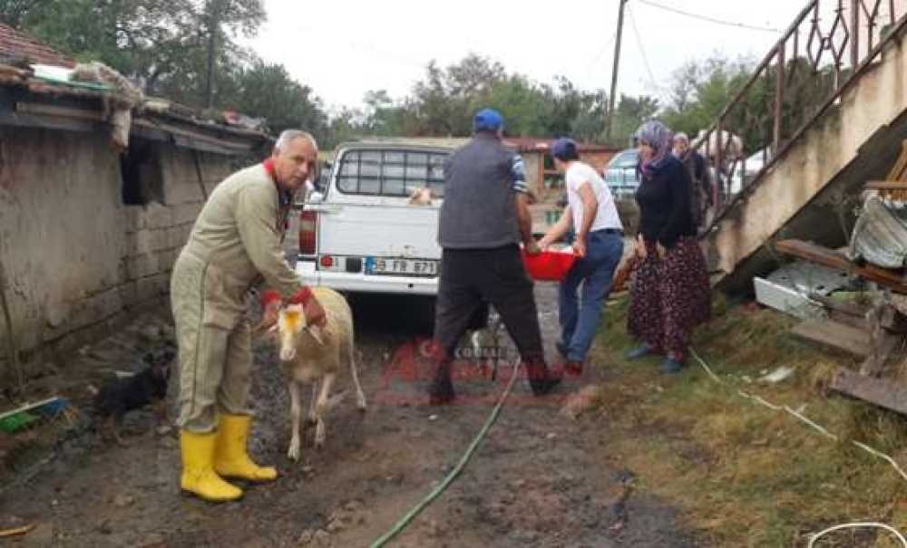 Çorlu'da Kurban Bayramı