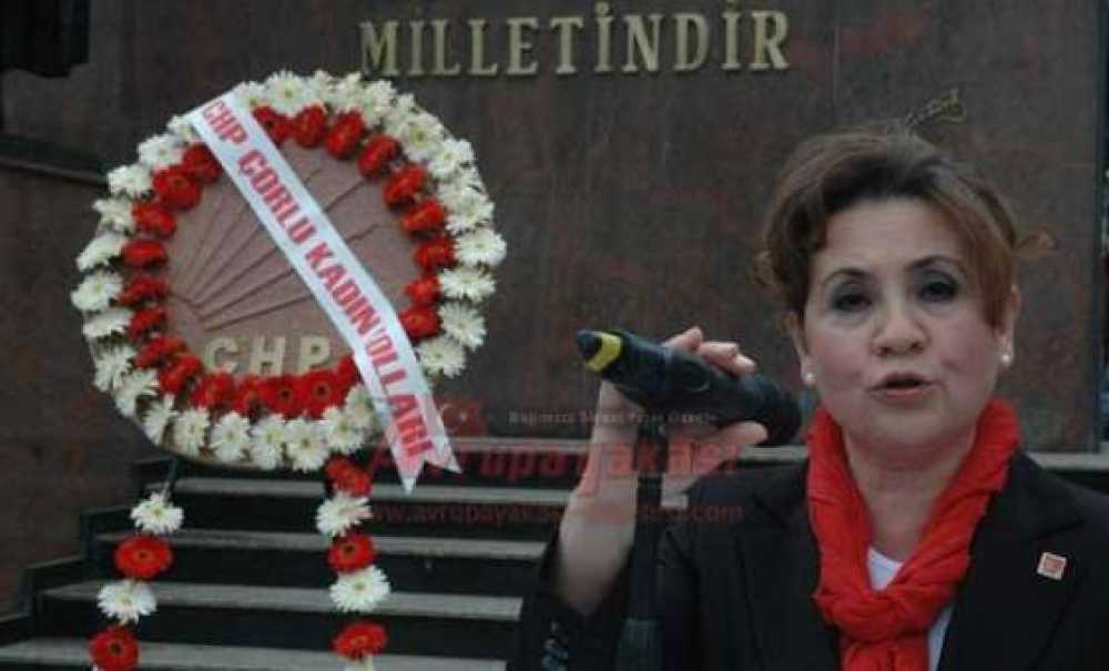 Chp Kadın Kolları Başkanı Nergis Öncü: