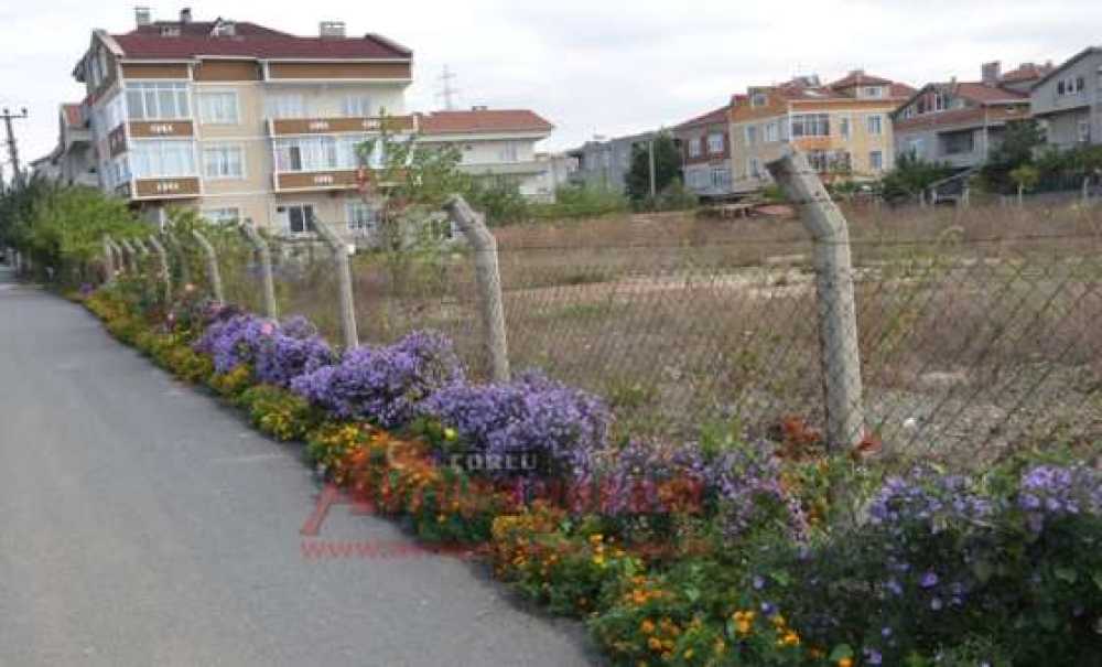 Günün En Güzel Haberi